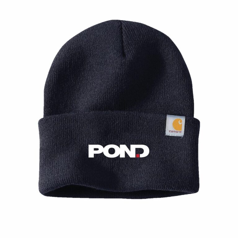 Carhartt Watch Cap 2.0